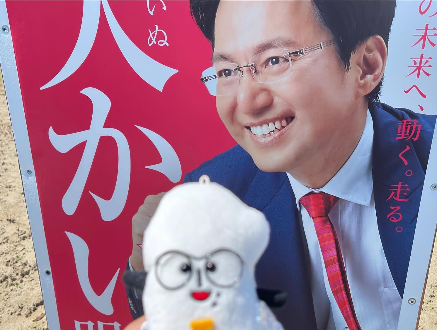 愛知16区・犬飼明佳 予定候補のポスター