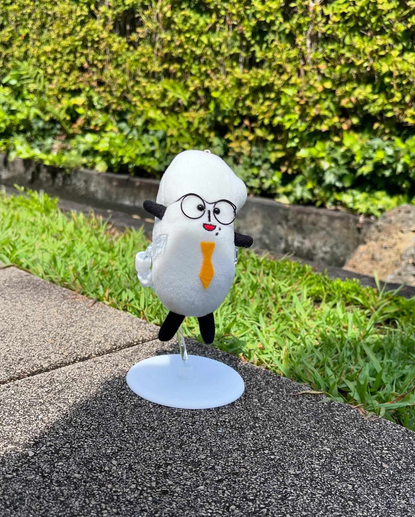 三島市、伊豆の国市、函南町、清水町、長泉町、西伊豆町にて街頭演説