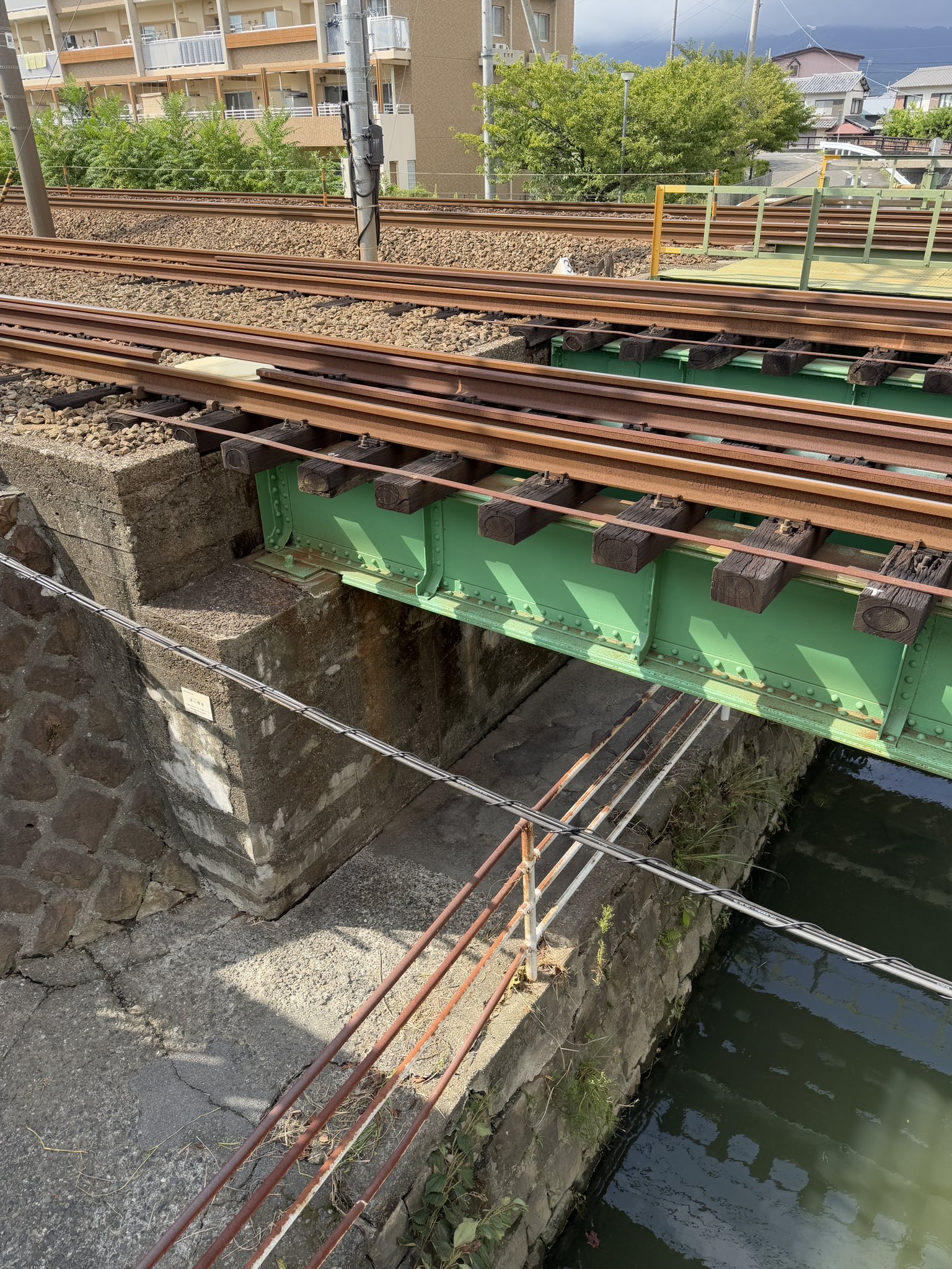 巴川水系の大沢川において、頻繁に氾濫が発生する箇所を大石直樹市議とともに確認