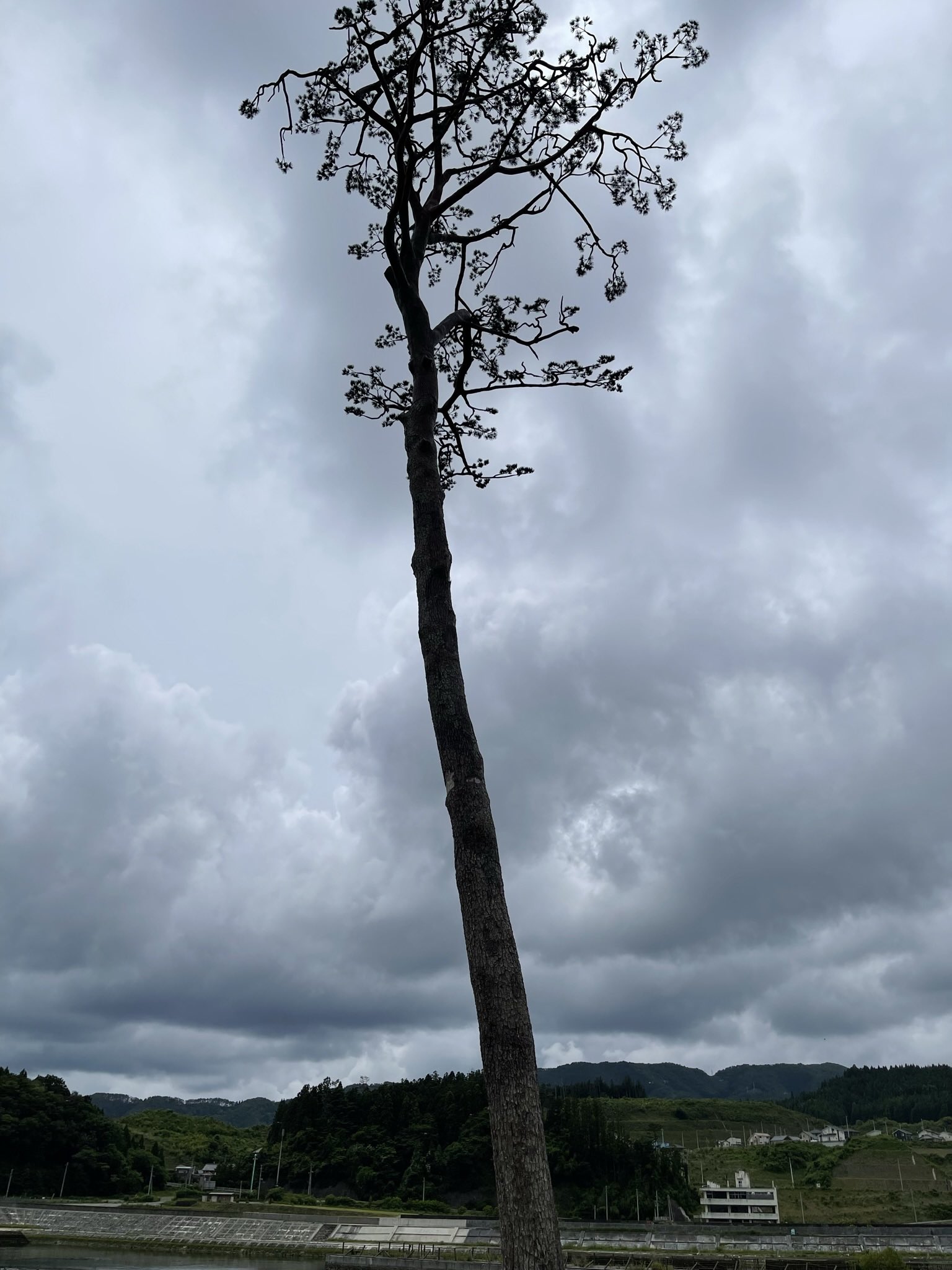 東日本大震災から14年