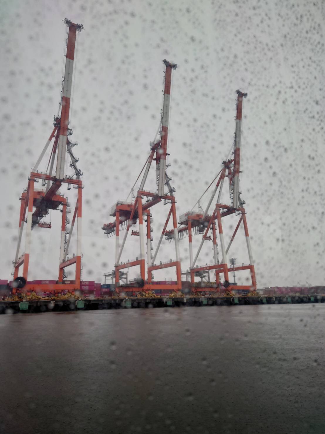 安江のぶお参議院議員、吉岡正修・坂井大輔 両名古屋市議会議員とともに、名古屋港を視察