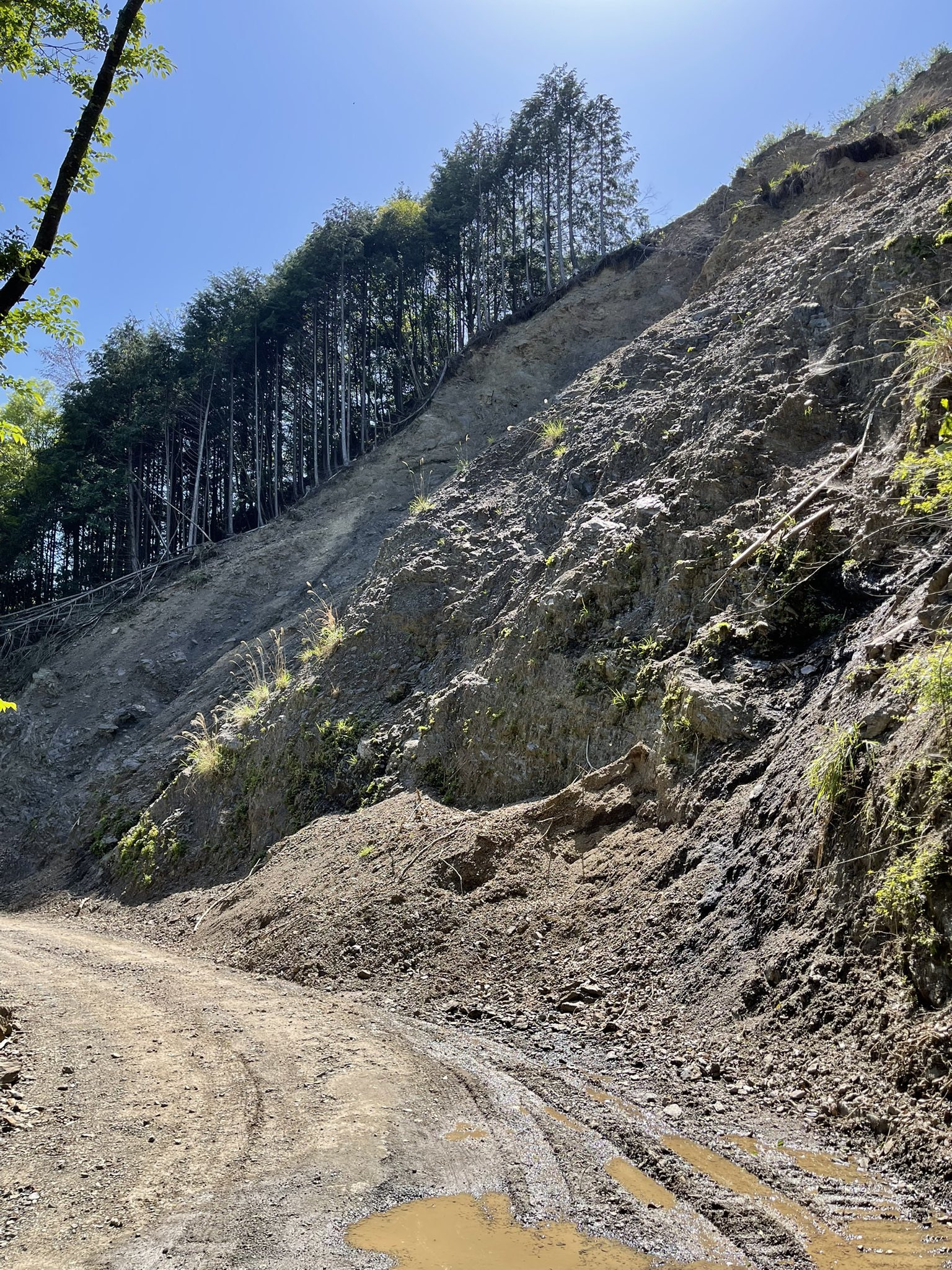 林道斜面崩落対策