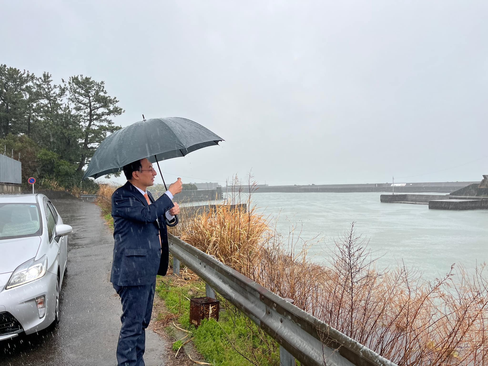 静岡市内の防潮堤整備状況を確認