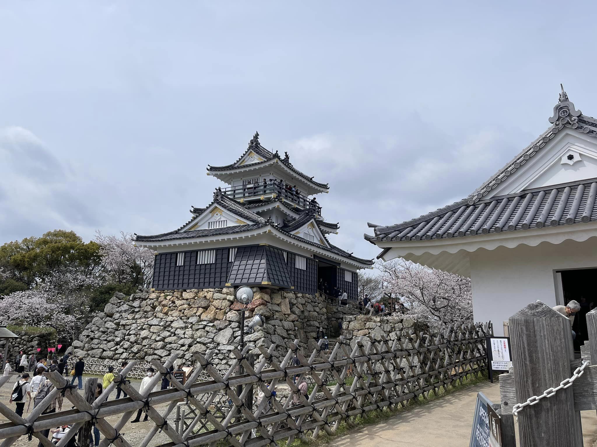 松下正行 市議、幸田恵里子 市議、丸英之 市議と一緒に、浜松市を回りました