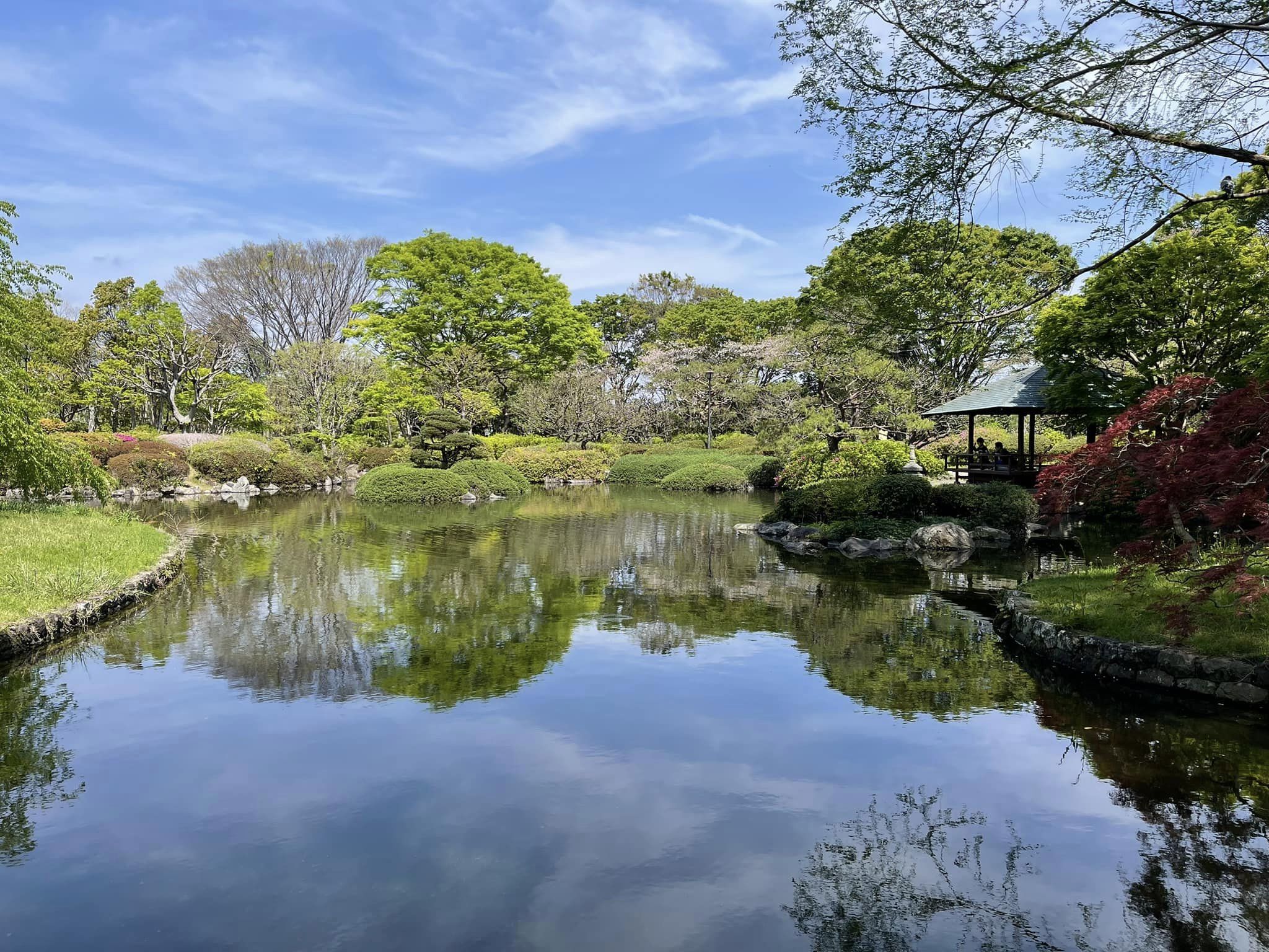 静岡市葵区の城北公園の新緑が綺麗で、清々しい気持ちに