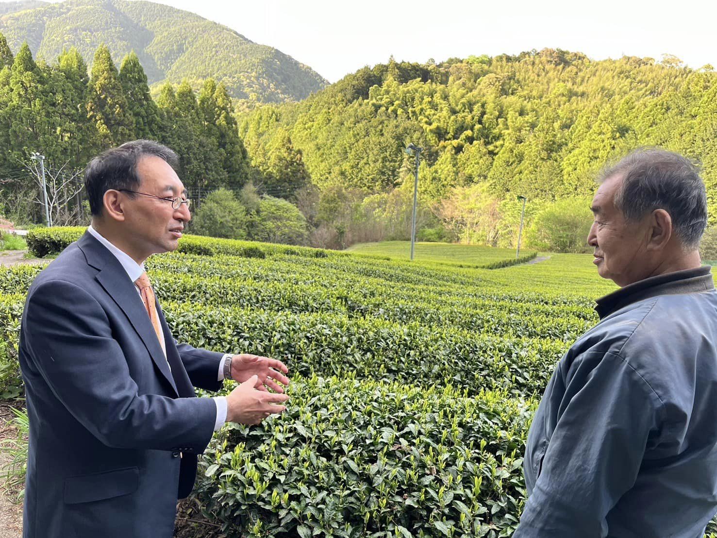 静岡市葵区で茶の有機栽培を営む斉藤勝弥さんにお話を伺いました