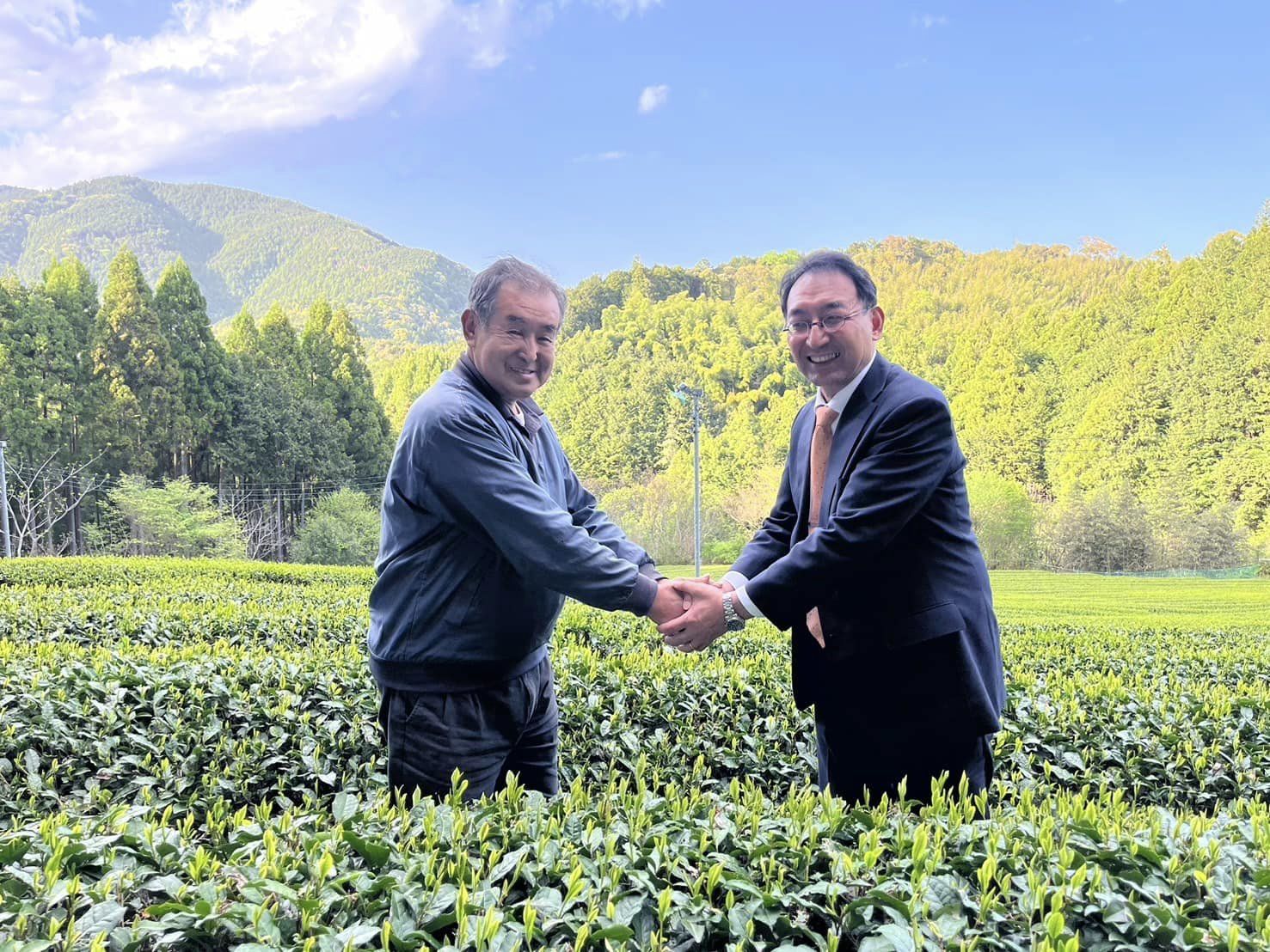 静岡市葵区で茶の有機栽培を営む斉藤勝弥さんにお話を伺いました