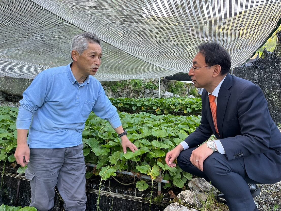 わさび発祥の地とされる「有東木」で、伝統的なわさび栽培を守り続ける宮原農園の代表、宮原寿穂（みやはらとしほ）さんにお話を伺いました