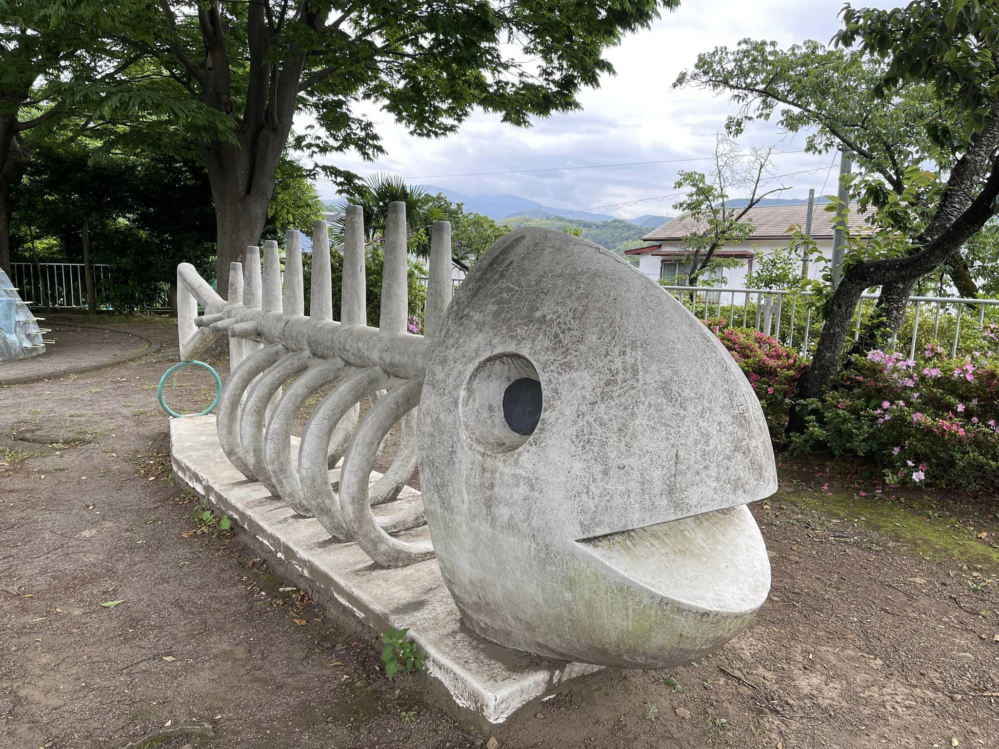 伊東市の物見ヶ丘公園（通称「ほねほね公園」）