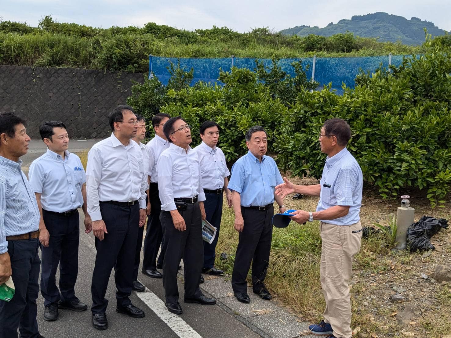 お茶・みかんの生産農家の皆様から課題やご要望を伺いました