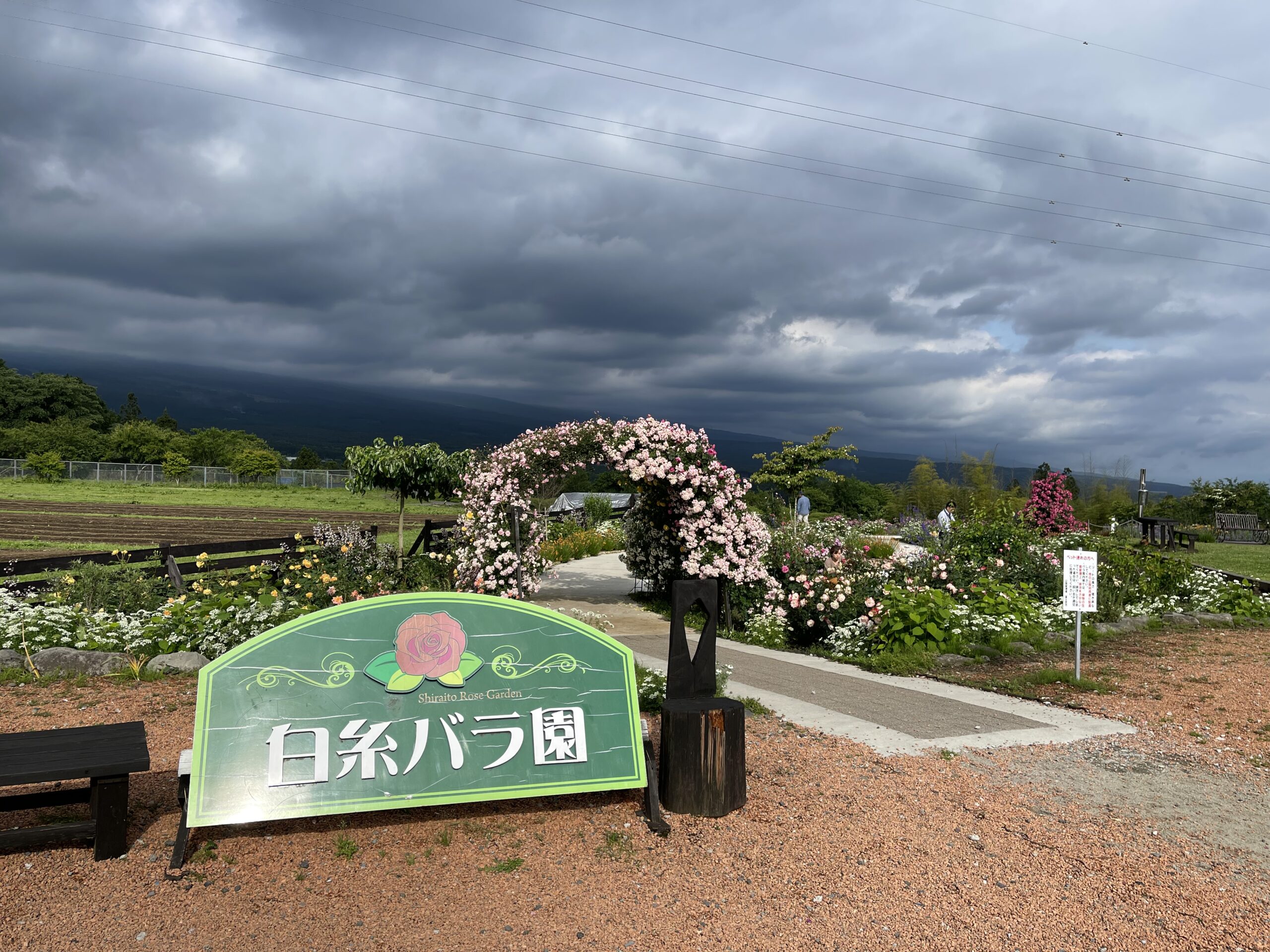 富士宮市、富士市を回る