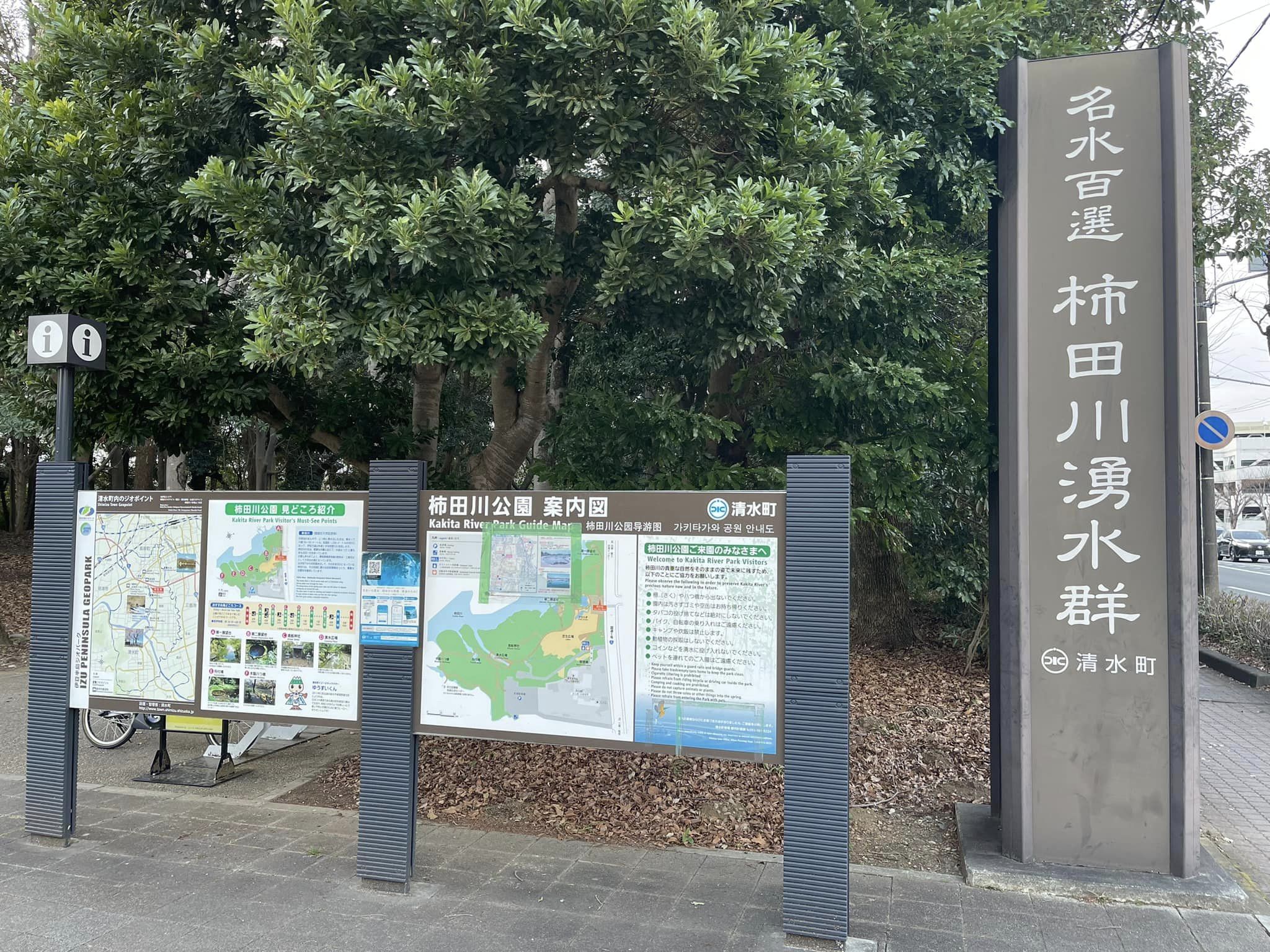 柿田川湧水群に立ち寄り、湧水の現状を確認