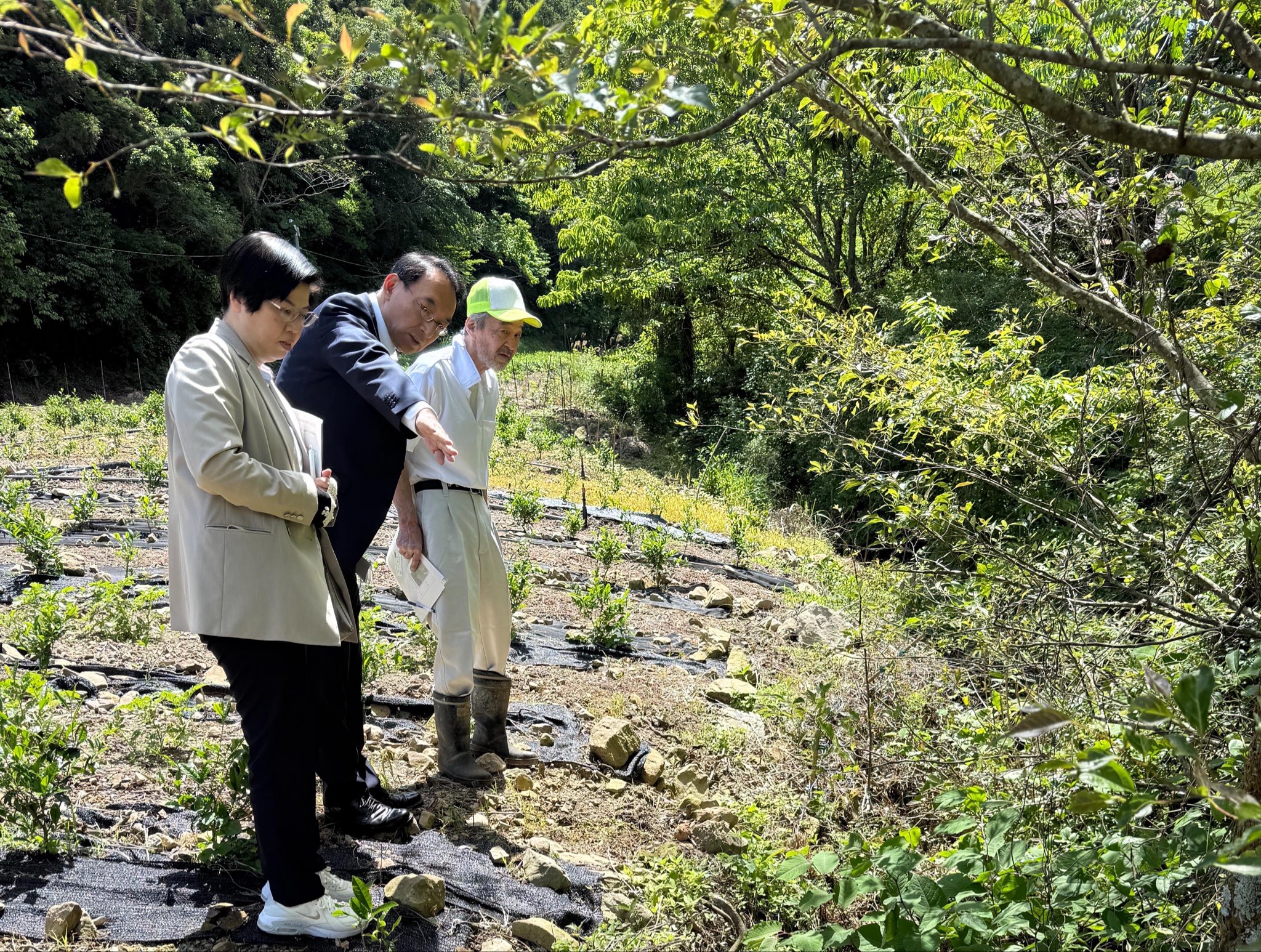 林道の法面が崩落し、通行不能となっている箇所を確認