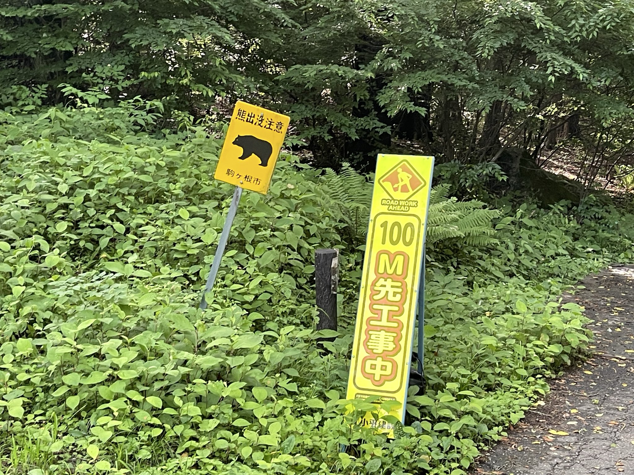 写真集『となりのツキノワグマ』を出版し、40年以上にわたりクマの生態を観察し続けている宮崎学さんからお話を伺いました