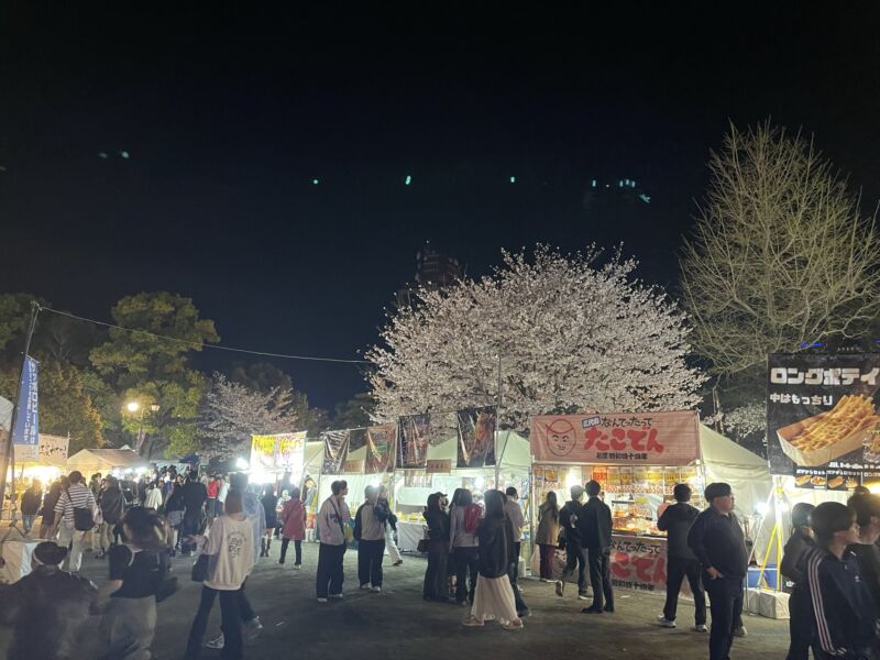 Image for the Tweet beginning: 【静岡まつり】

4月5日、第70回静岡まつりが盛大に開催されました。準備にあたられた皆様に、心より敬意と感謝を申し上げます。

ライトアップされた駿府城公園の桜は、格別の美しさを湛え、多くの来場者を魅了していました。

#静岡まつり
#駿府城公園 