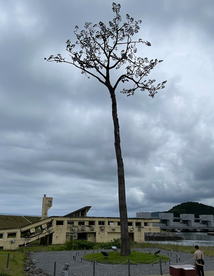 役人時代（東日本大震災からの復興）